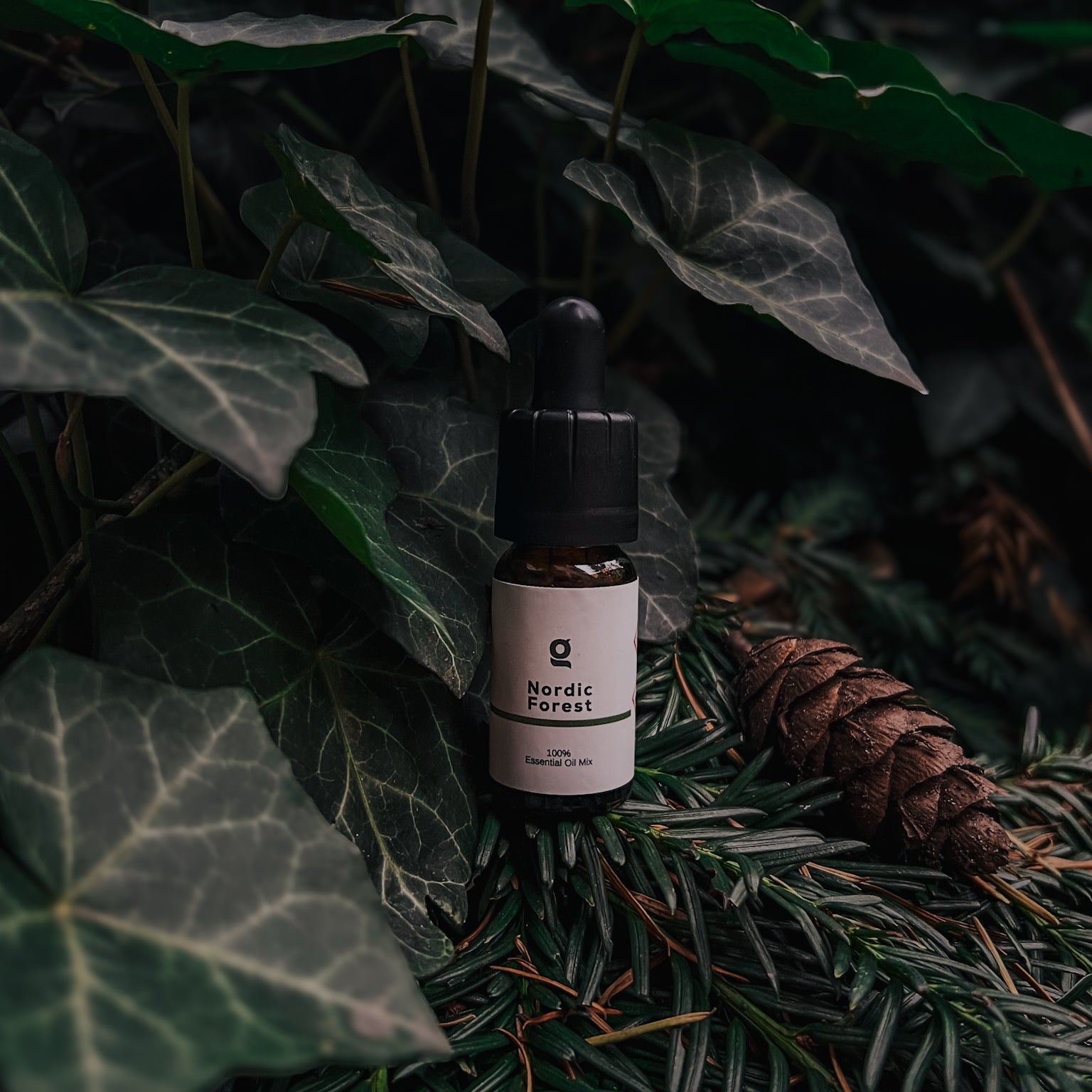 Nordic Forest: A Winter State of Mind in 7 Simple Rituals