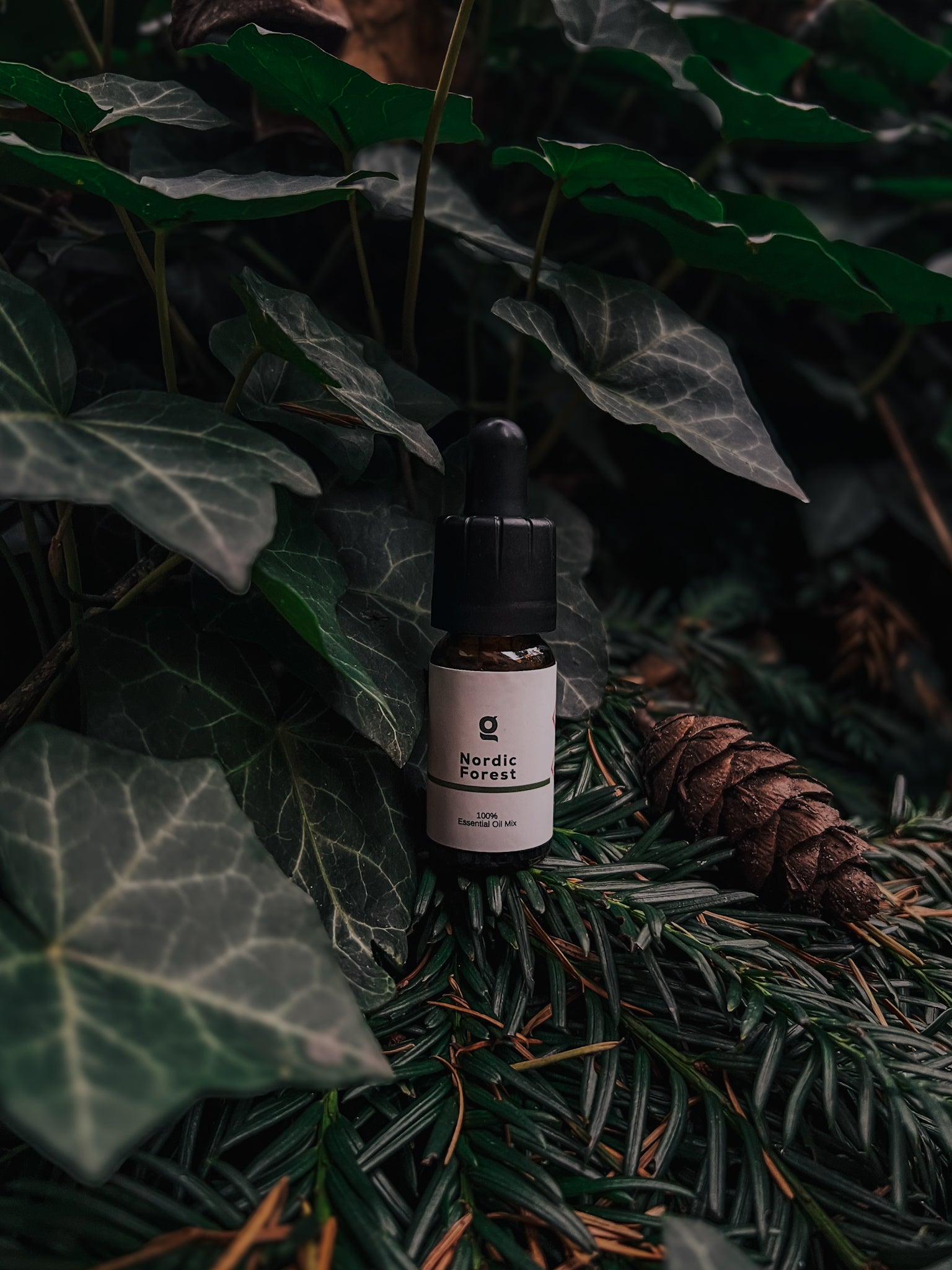 Nordic Forest: A Winter State of Mind in 7 Simple Rituals