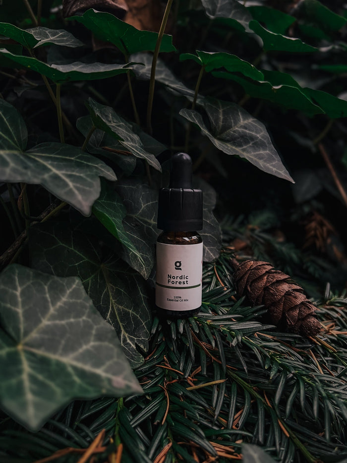 Nordic Forest: A Winter State of Mind in 7 Simple Rituals